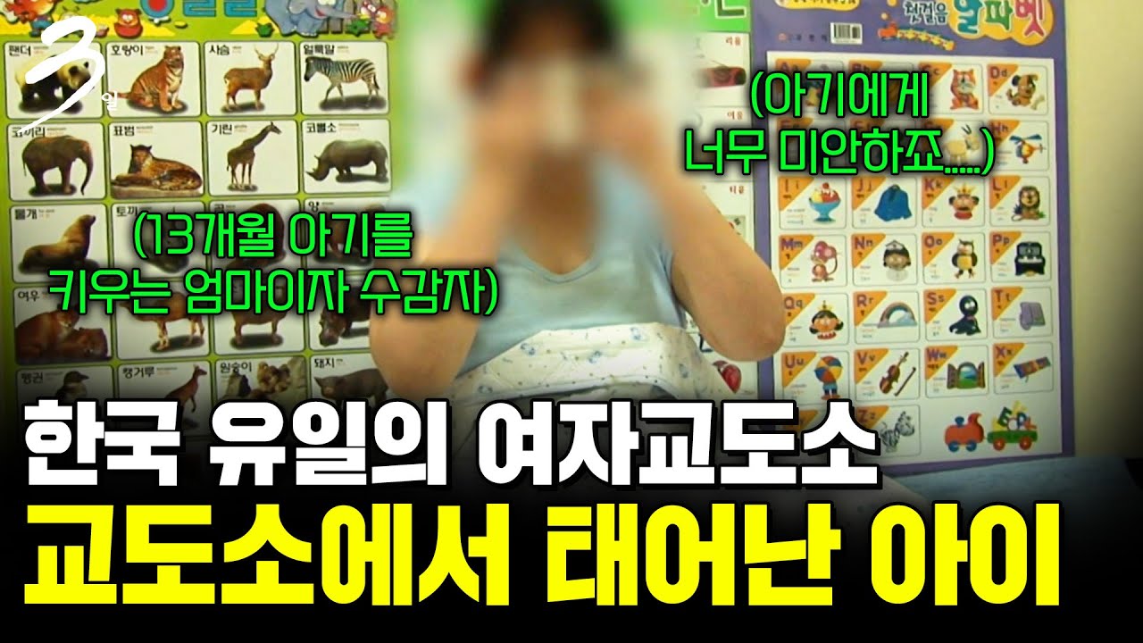 교도소에 울려 퍼지는 아기 울음소리. 유일한 여성 전담 교도소 청주 여자 교도소의 72시간 [다큐3일] | KBS 081122