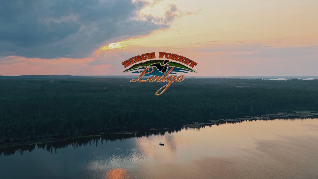 Birch Forest Lodge-We Love to Serve Our Guests