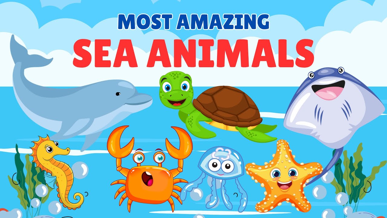 The Most Popular & Coolest Sea Animals for Kids | Fun Facts & Names of Amazing Sea Animals!