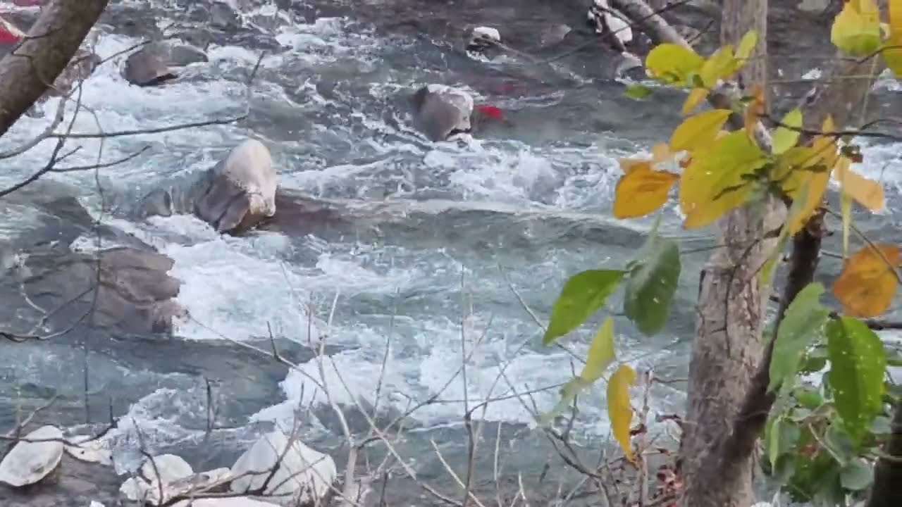#mountainwaterflow