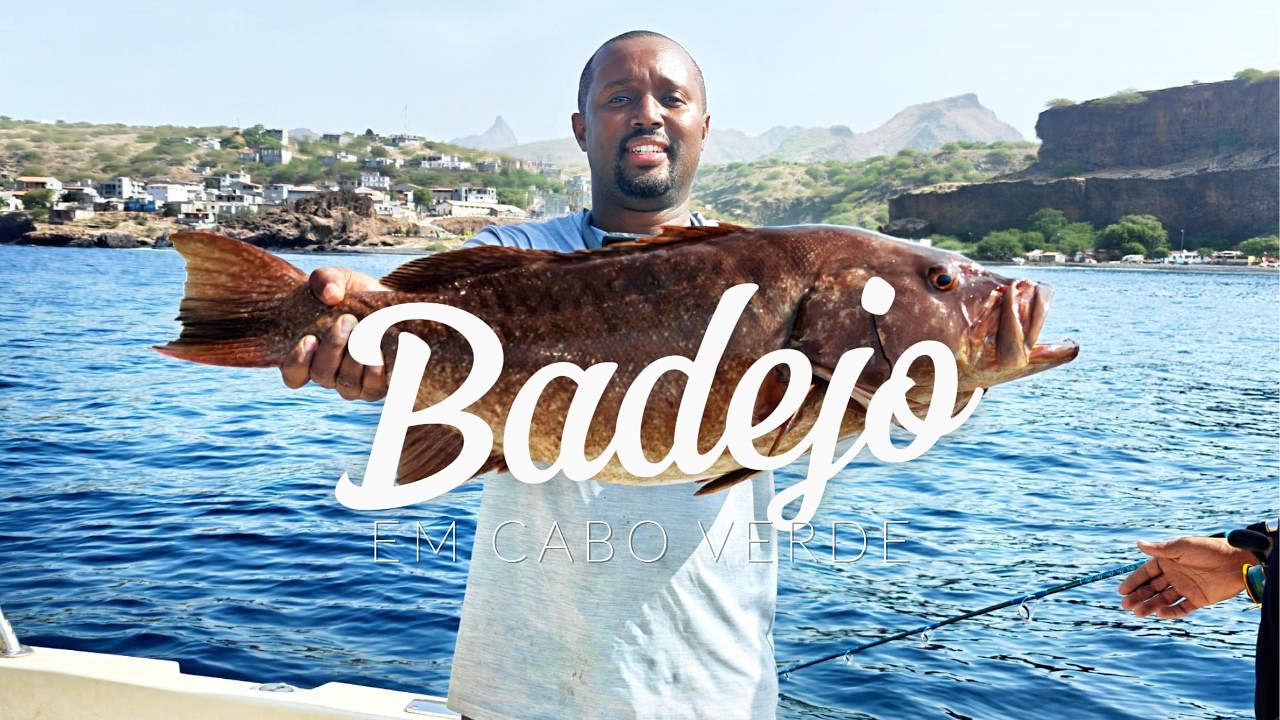 Epic grupper bite and a lot of amberjack