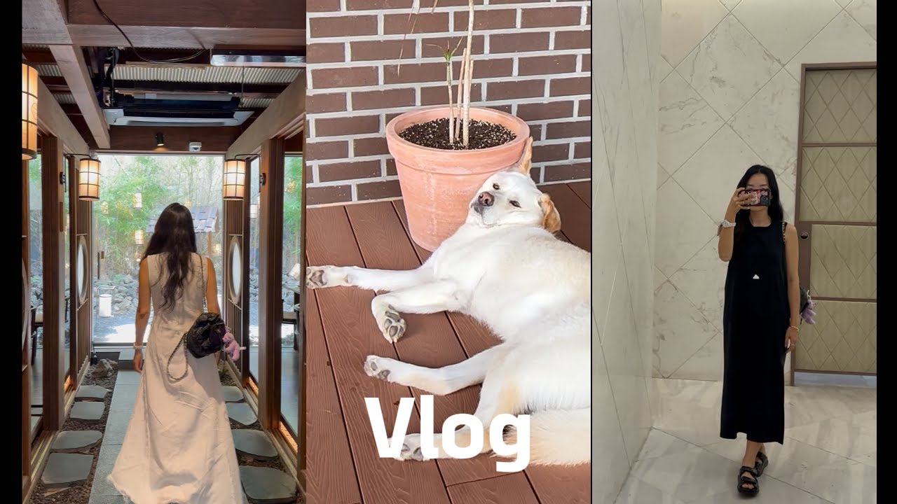 일상 Vlog l 돼지런했던 일상 🐽 l 코지타벨리니 l 발뮤다 더 플레이트