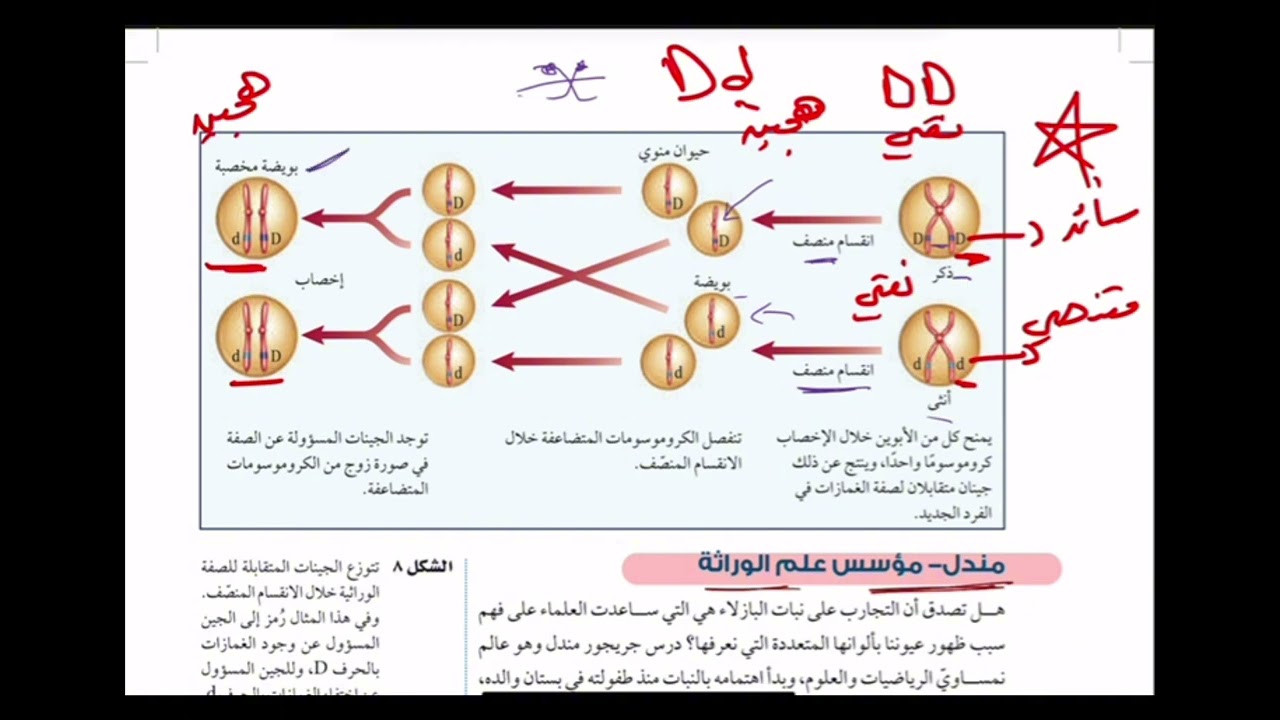 علم الوراثه علوم ثالث متوسط 