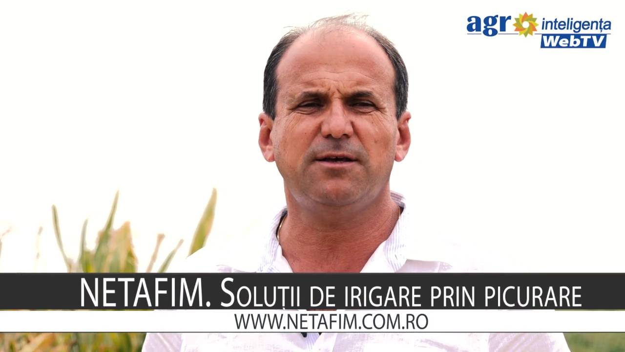 Sistem de irigare prin picurare la Agro Hagiu - cultura de porumb, de ceapă și de pepeni