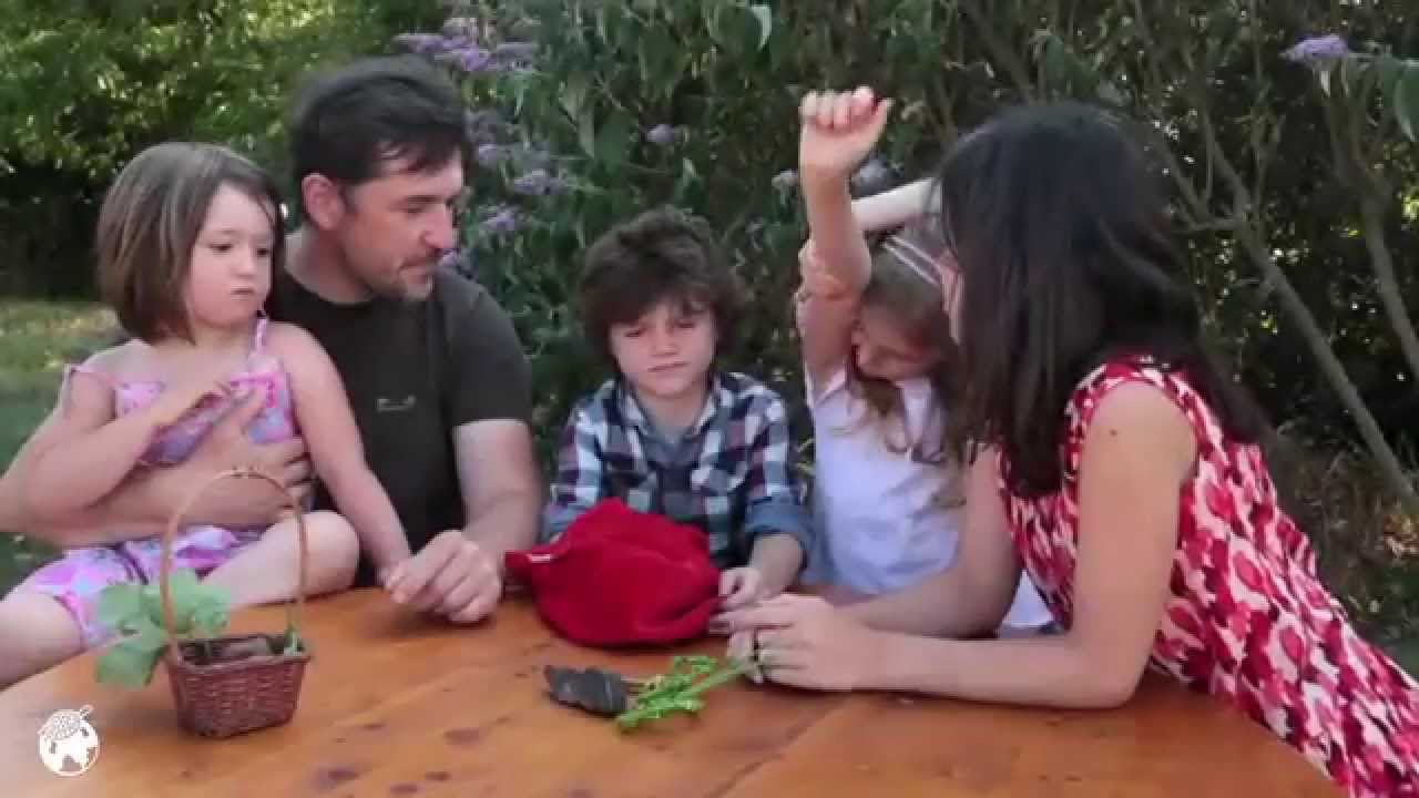 Activit&eacute; Montessori dans la nature