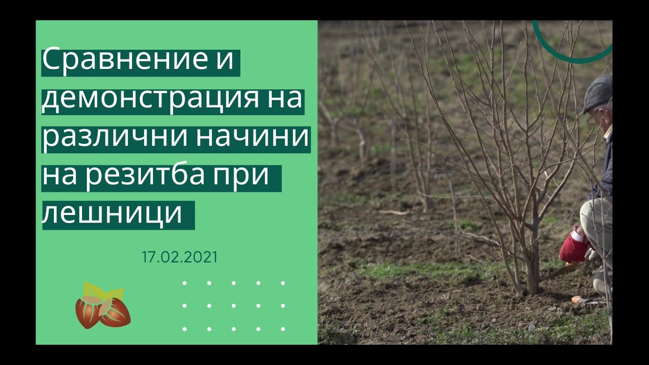 Отглеждане и резитби на лешник - онлайн семинар