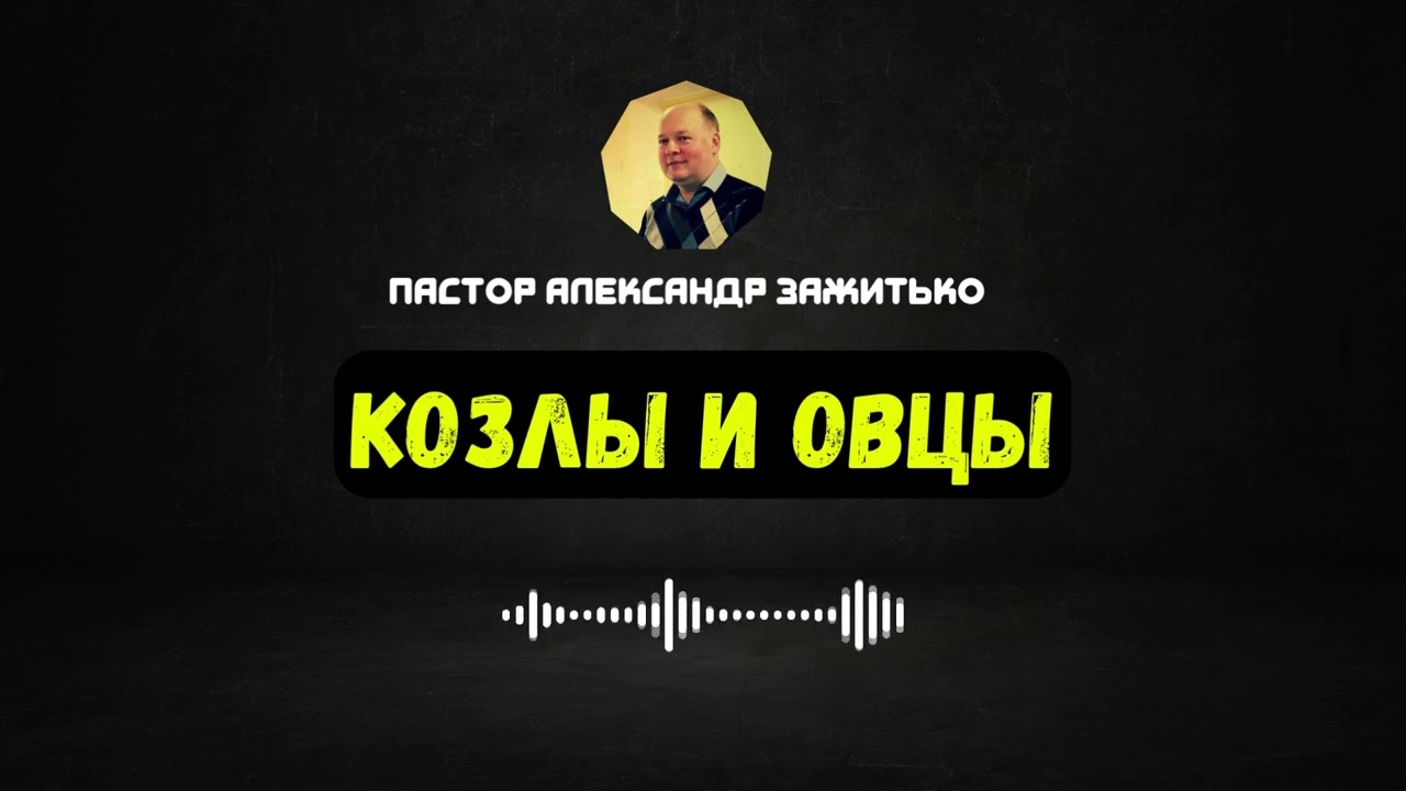 Козлы и Овцы