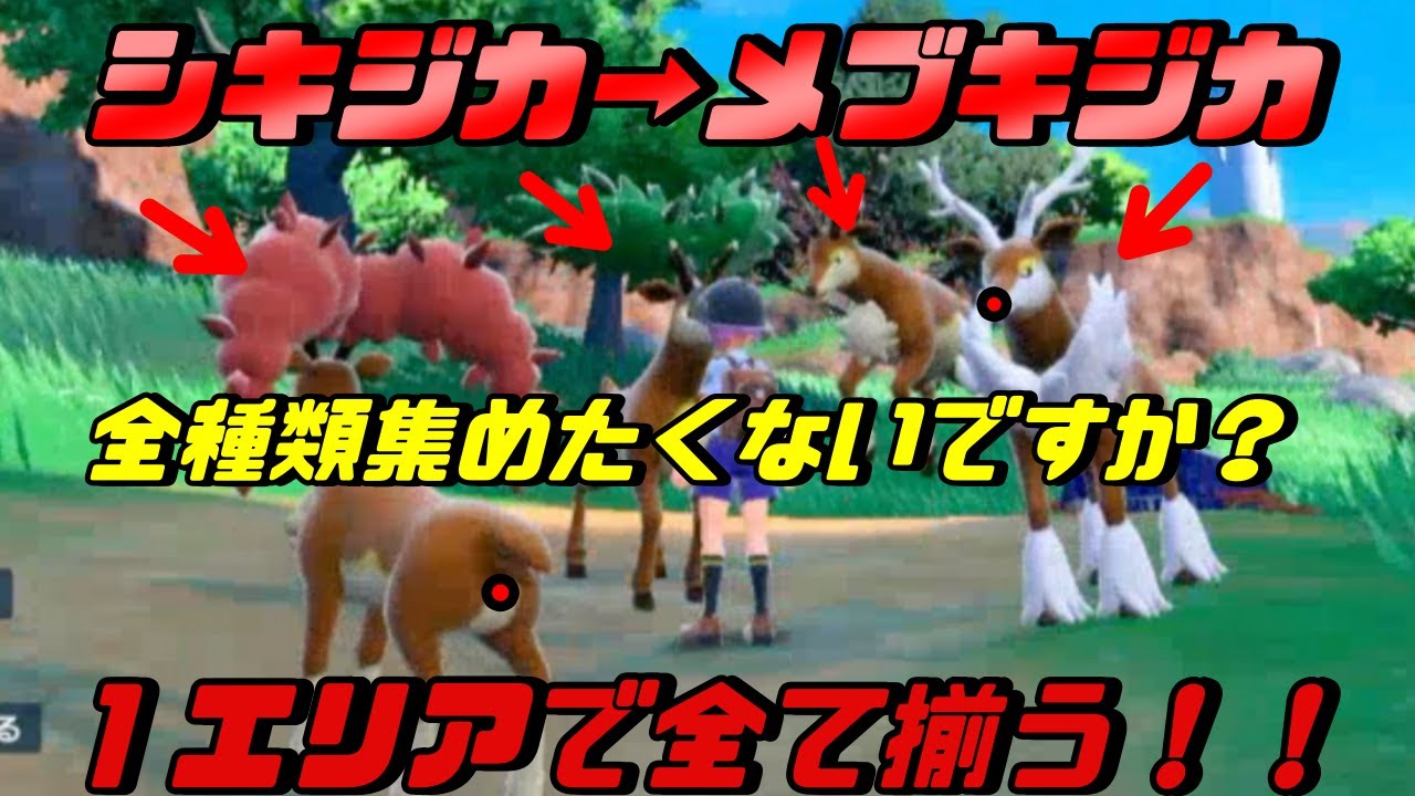 １エリアで色違いメブキジカ全種類集まる！