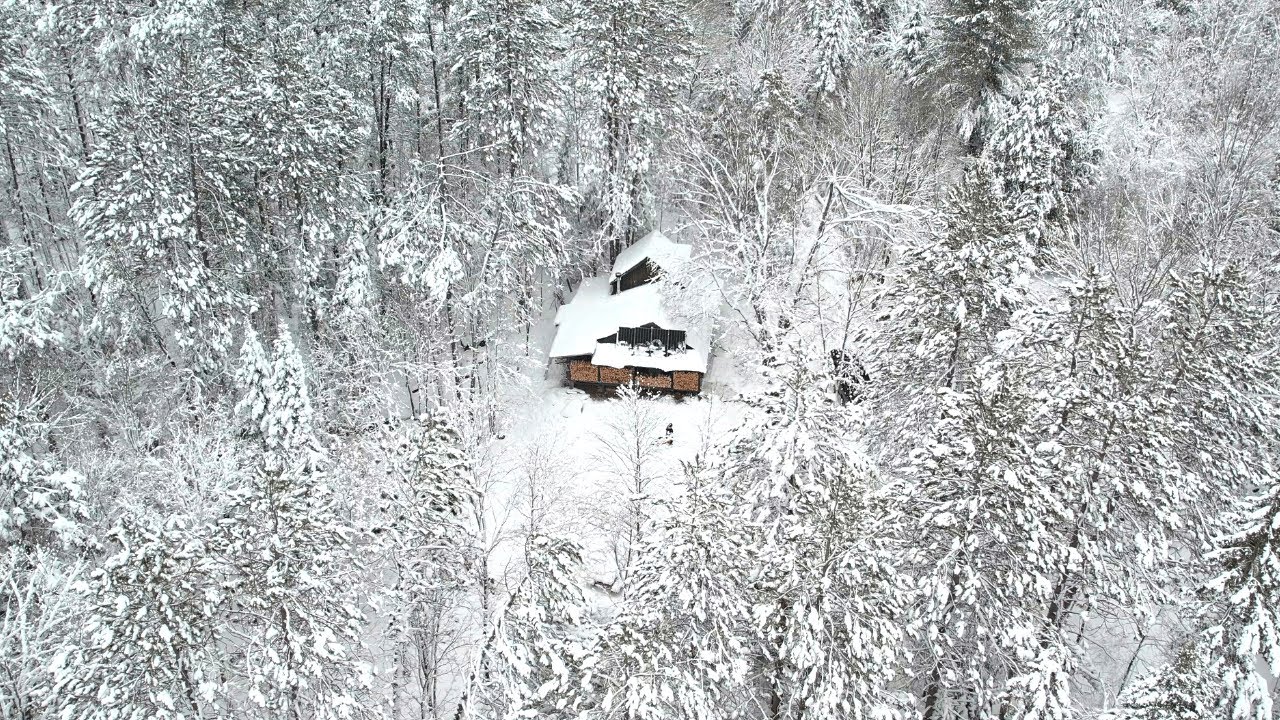 Winter Day At The Cabin ❄️ | Tapping Trees | Maple Syrup Season 🍁🇨🇦