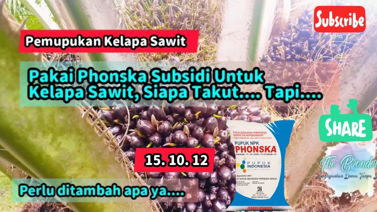 Pakai Phonska Subsidi Untuk Kelapa Sawit, Siapa Takut.. Tapi.... - dilengkapi perhitungan Tambahan