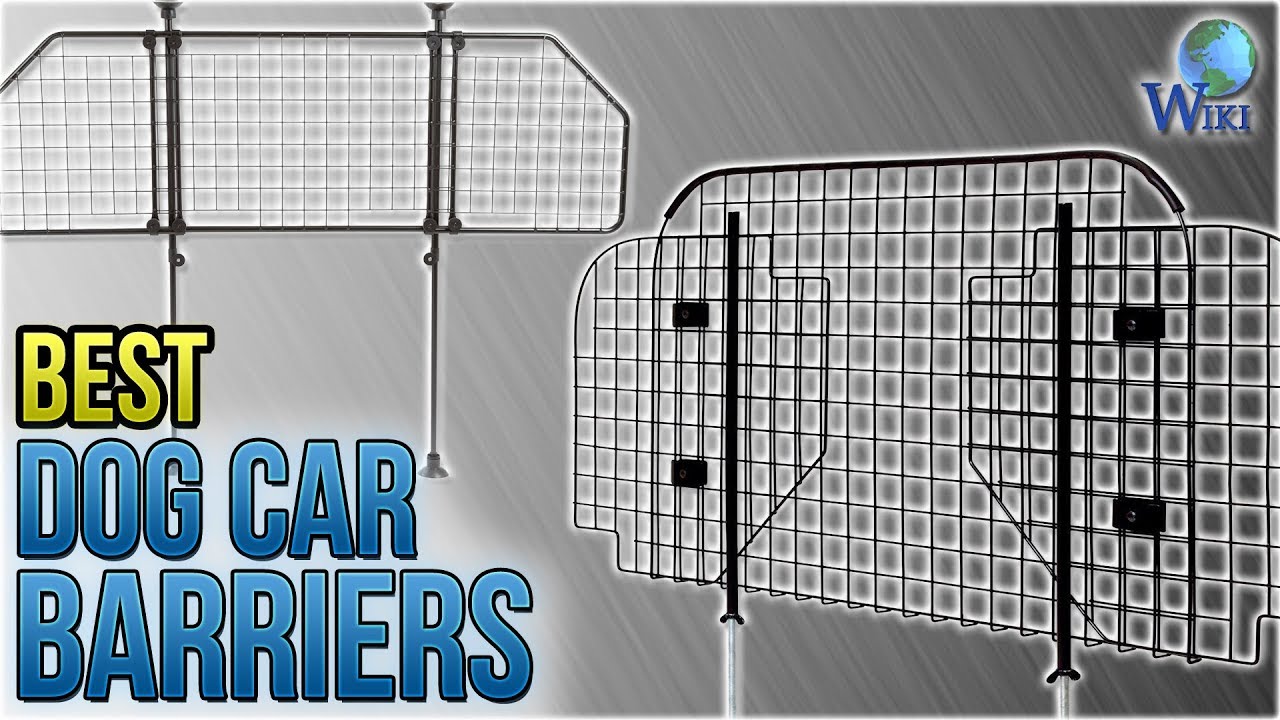 10 Best Dog Car Barriers 2018
