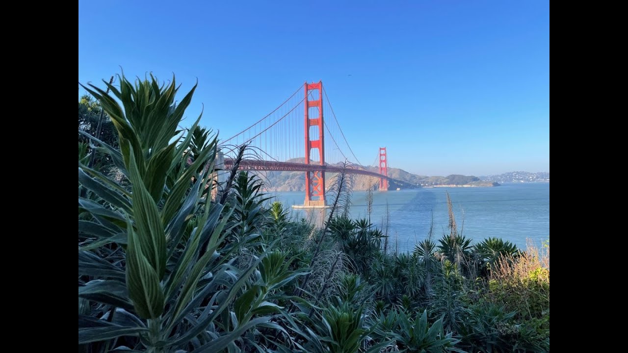 How to enjoy a day in San Francisco without spending a ton