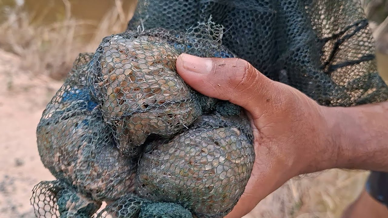 😆สูตรนี้เอาจาก ไหสาวเจ้ยครับหมานมากๆ พ่อน้องกายสาวเจ้ย🥰🥰🥰