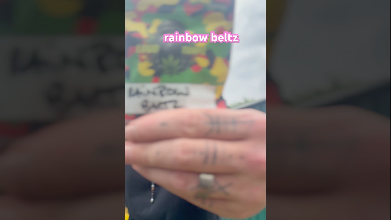 RAINBOW BELTZ by LOUD TERPZ 