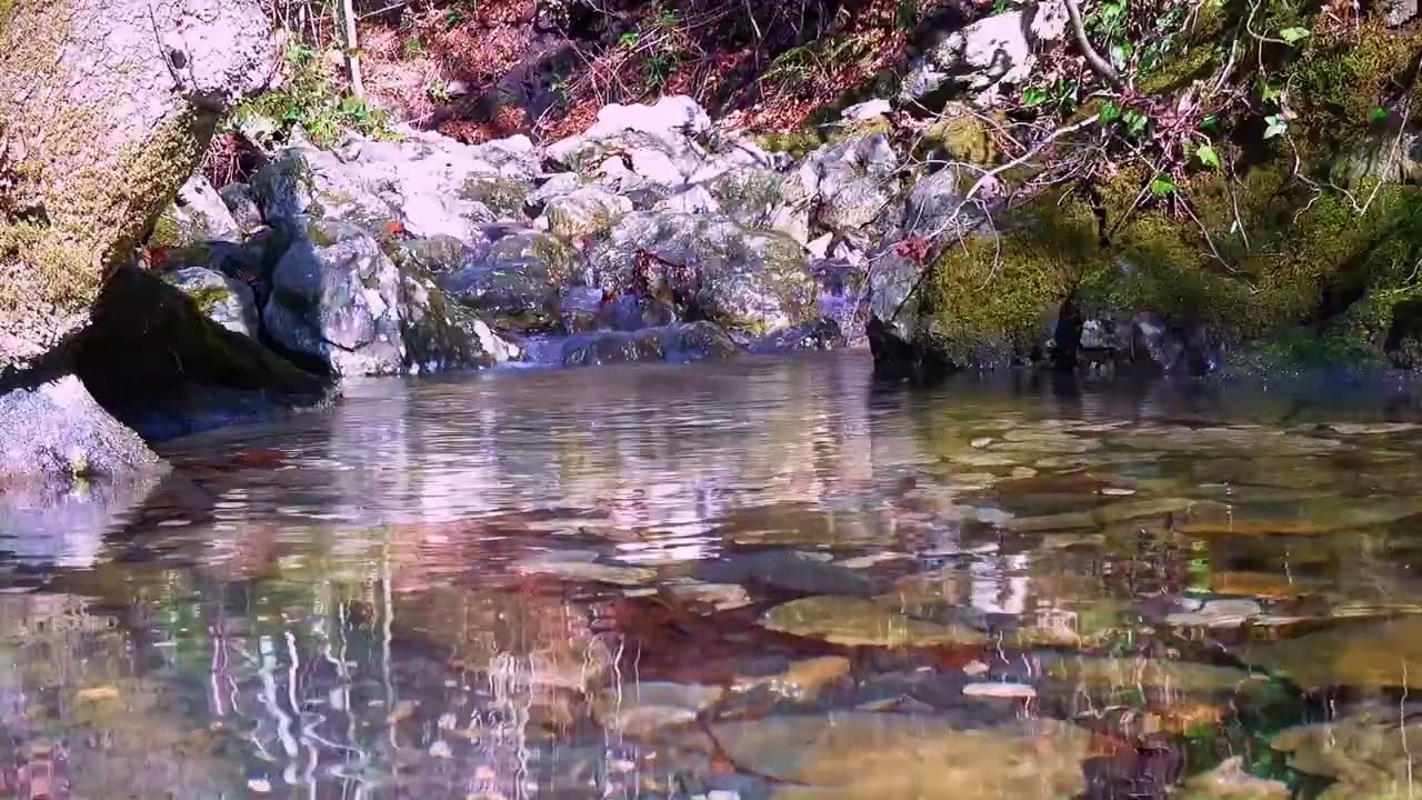 RILASSANTE SUONO DELL'ACQUA CHE SCORRE IN UN RUSCELLO