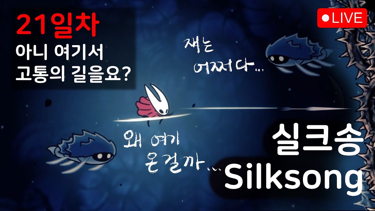 🔴다시 말하지만 실크송 DLC 대기방 아닙니다 21일차 | 실크송 Silksong