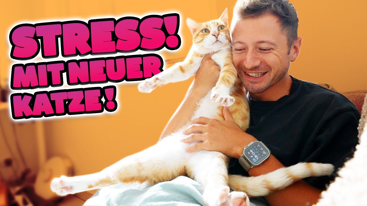 NEUE KATZE springt in's AQUARIUM!