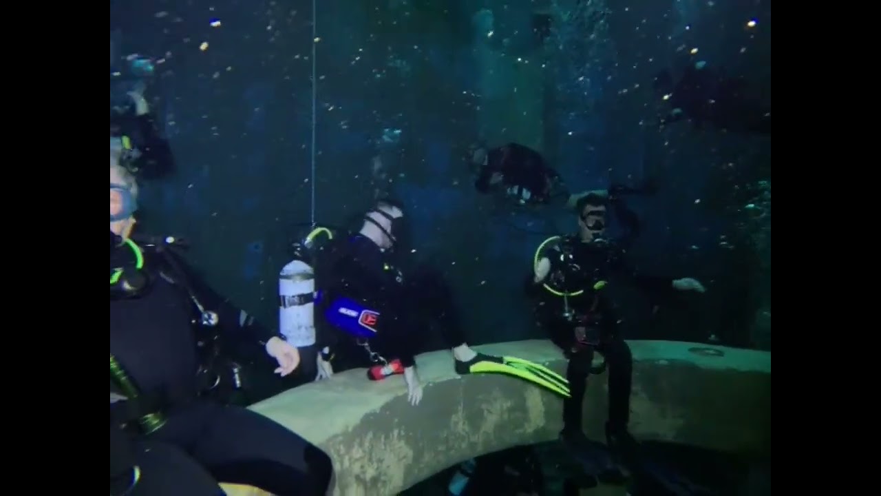 Nuclea DC met HDC in Dive4Live Siegburg 2025