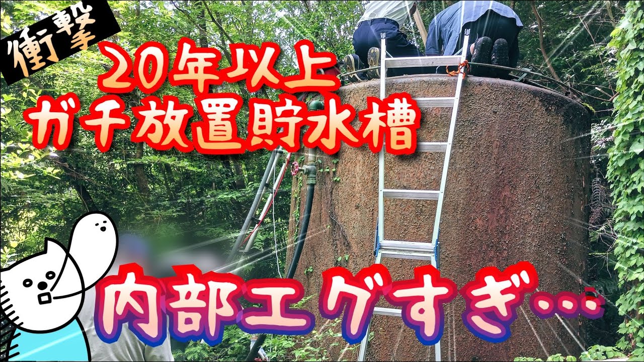 【40代無職バツイチ家を買う#11】20年以上清掃していない田舎の貯水槽の内部が衝撃的すぎて魂抜けそうになった