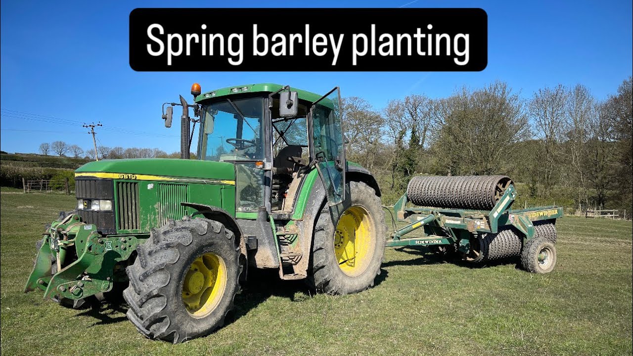 Drilling spring barley