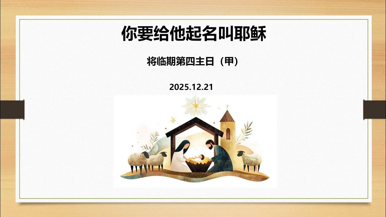 细胞99-将临四-2025/12/21