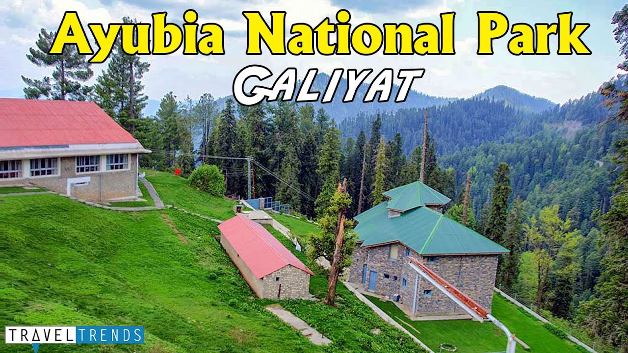 Ayubia National Park | Ayubia Top | Muree Pakistan