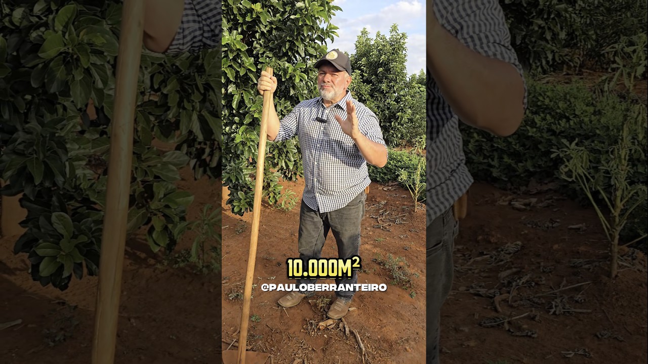 QUAL A DIFEREN&Ccedil;A ENTRE ALQUEIRE E HECTARE?