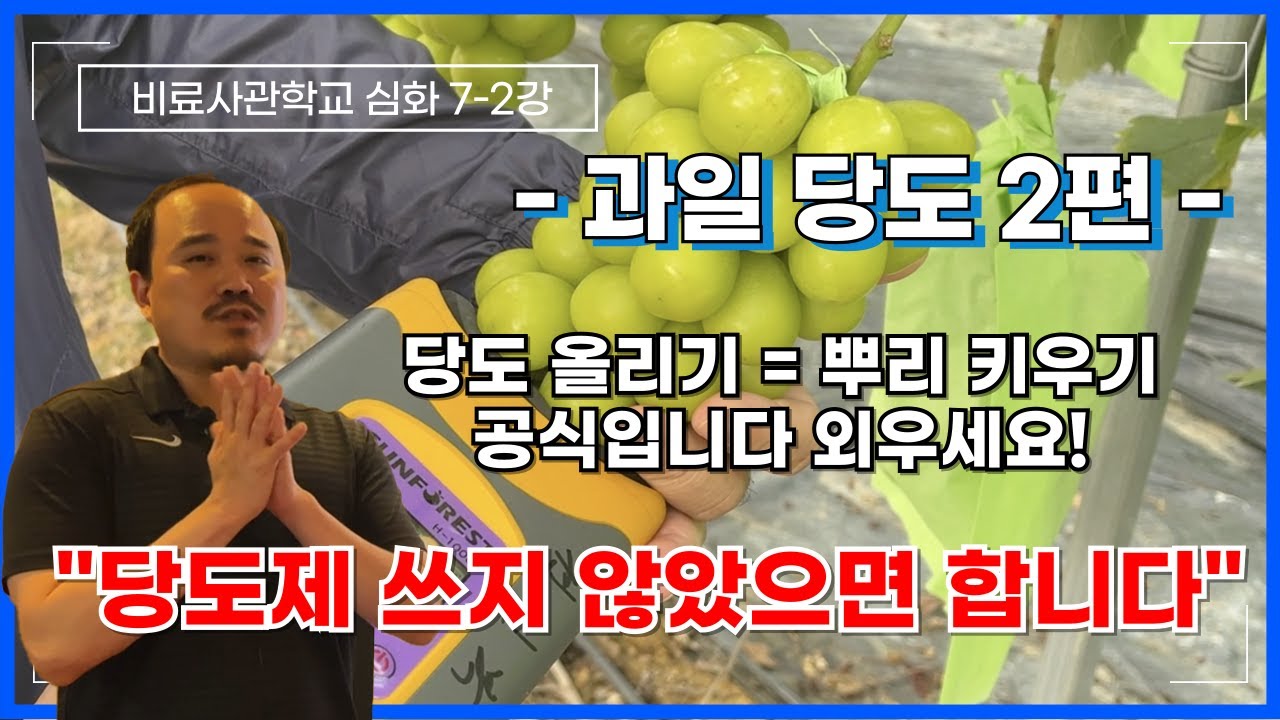 당도제 영양제 쓰지 않으셨으면 좋겠어요 당도 올리는 비료을 넣어주세요! 당도는 뿌리에서 시작됩니다. | 비료사관학교 7-2강 | 농사 100단