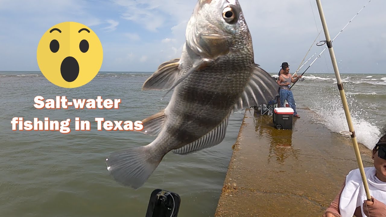 Saltwater fishing in Texas / समुन्द्रका माछा समात्दाको अनुभव  Vlog