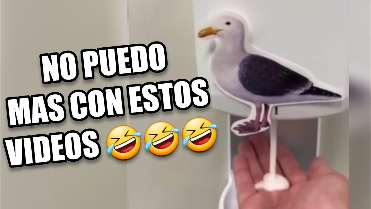 VIDEOS RANDOM #21, #memes #funny #tiktok