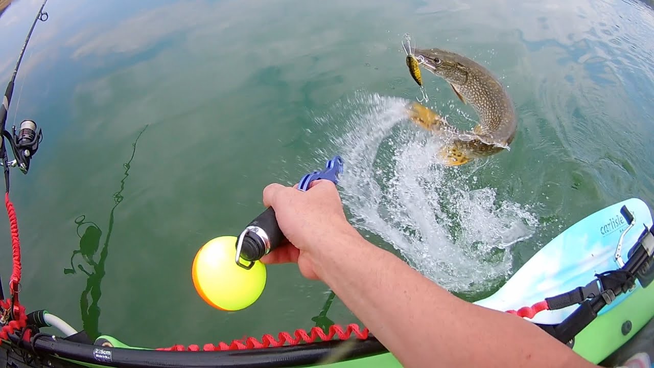 TROLLING Catfish, Walleye, Pike with KAYAK   Тролинг на бяла риба, сом и щука с каяк