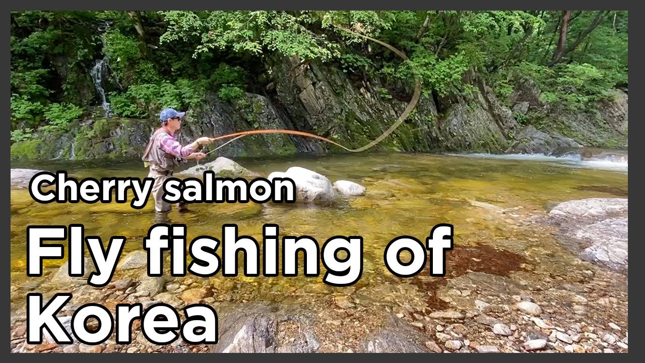 [Flyflanet 114] [Fly fishing Tour] Fly fishing of korea_한국의 플라이 낚시