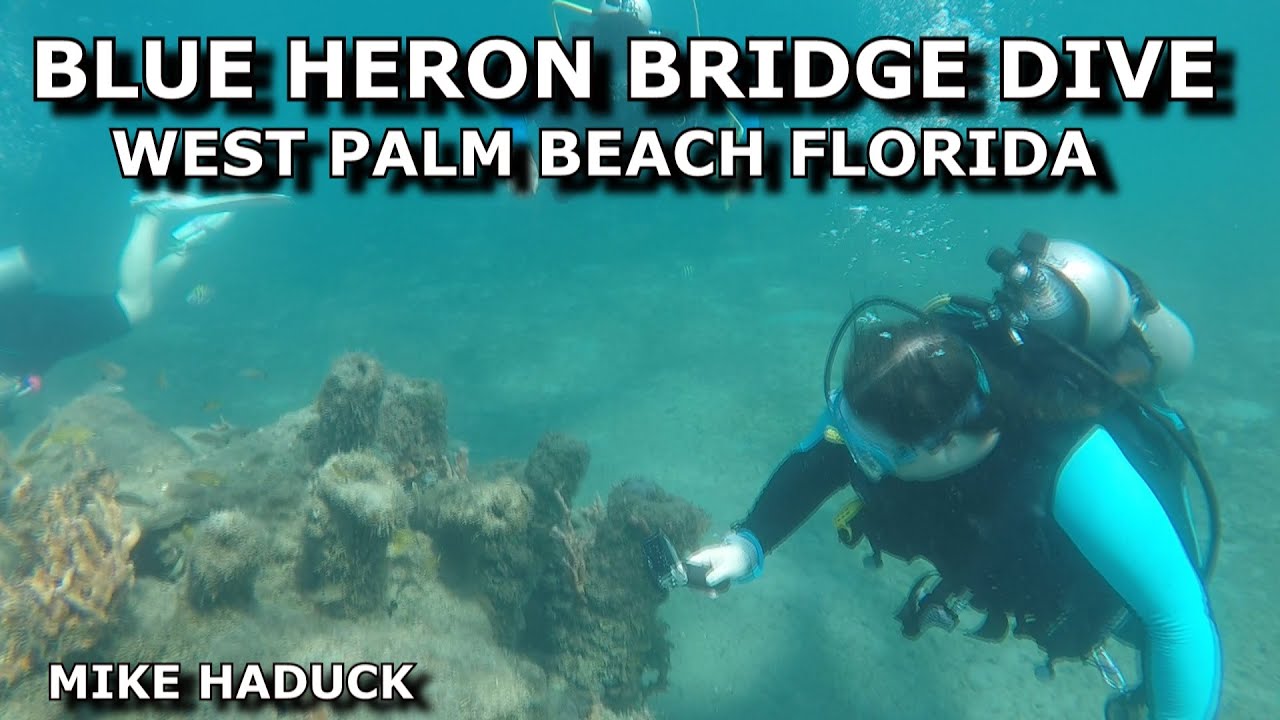 BLUE HERON BRIDGE (DIVE & SNORKEL) WEST PALM BEACH FLORIDA