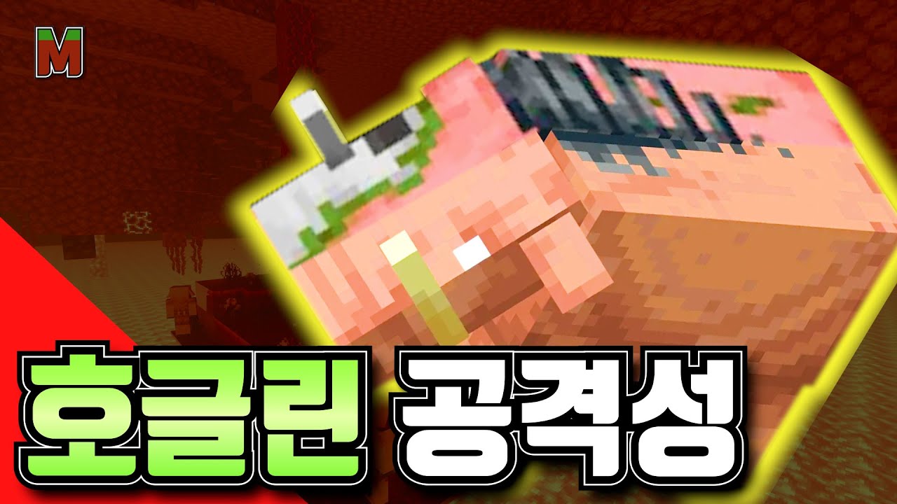대격돌 호글린의 공격성｜마크 다큐멘터리