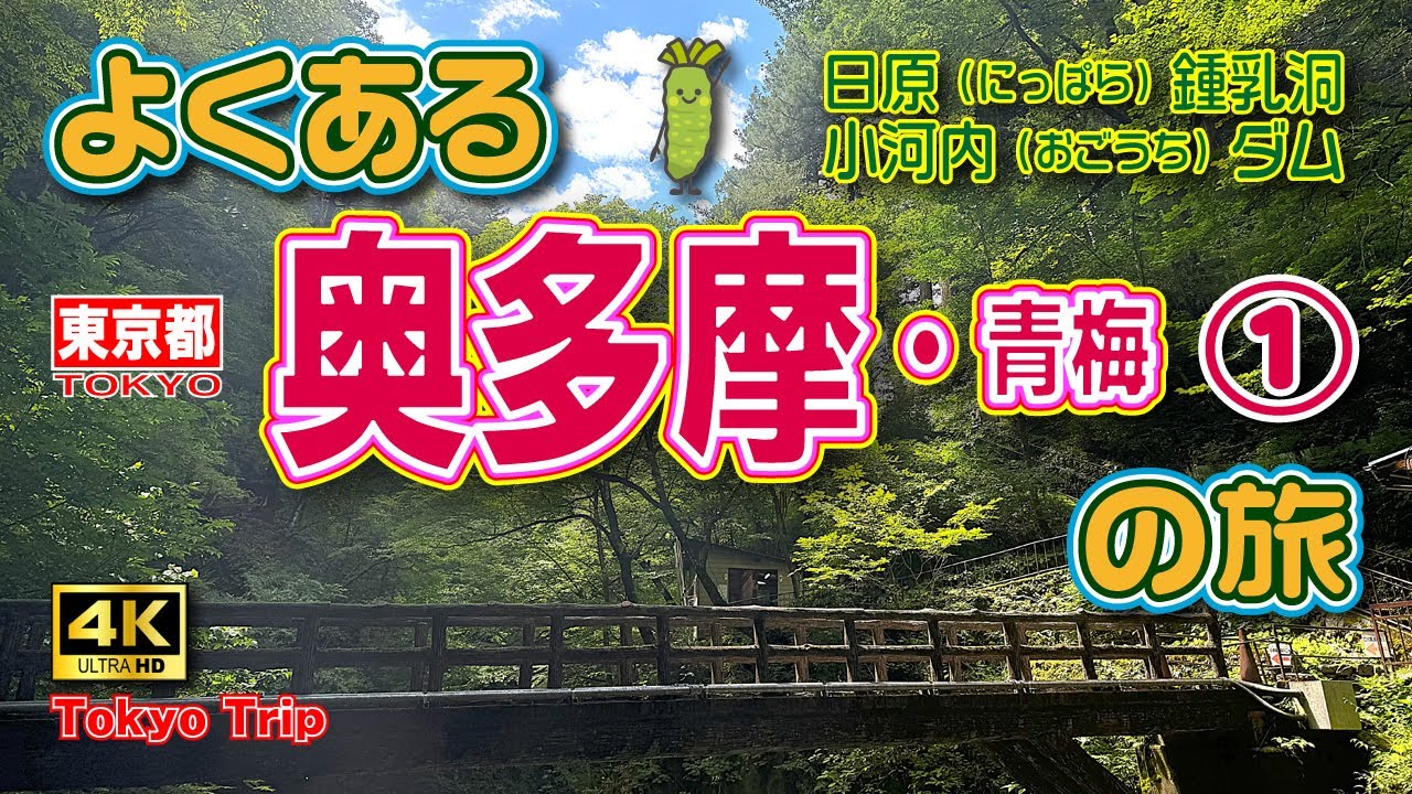 【奥多摩観光】東京の自然に触れよう🌳真夏のドライブ🚙奥多摩・青梅1泊2日の旅①（1日目前編）夏でも涼しい🧊日原鍾乳洞＆奥多摩湖🦕【東京旅行】Vol.108　[MULTI SUB/4K]