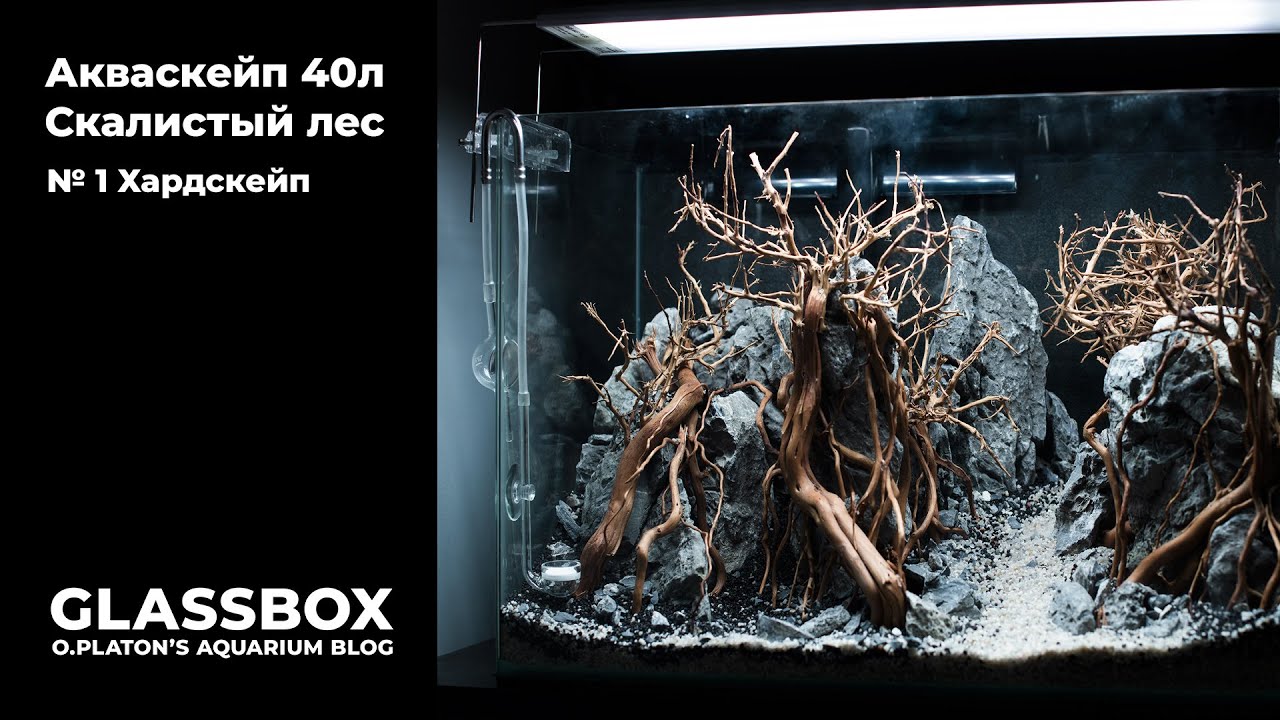 #Акваскейп 40л. (Скалистый лес ) - 1 #Хардскейп.