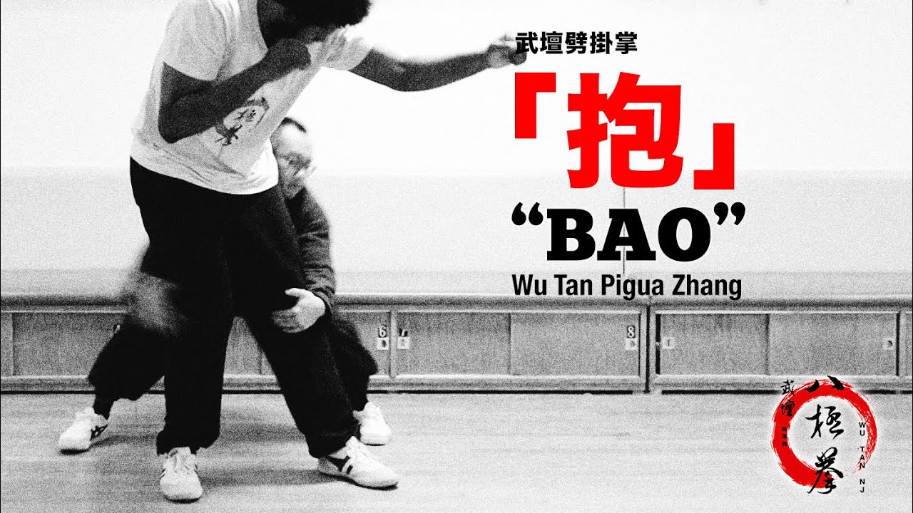 武壇劈掛掌「抱」WuTan Pigua Zhang “Bao”