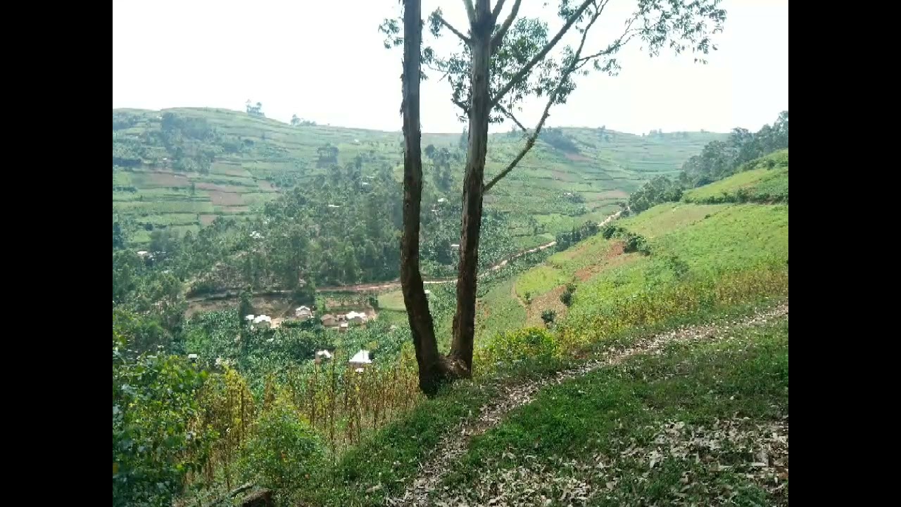 HILLS OF KABALE WESTERN UGANDA