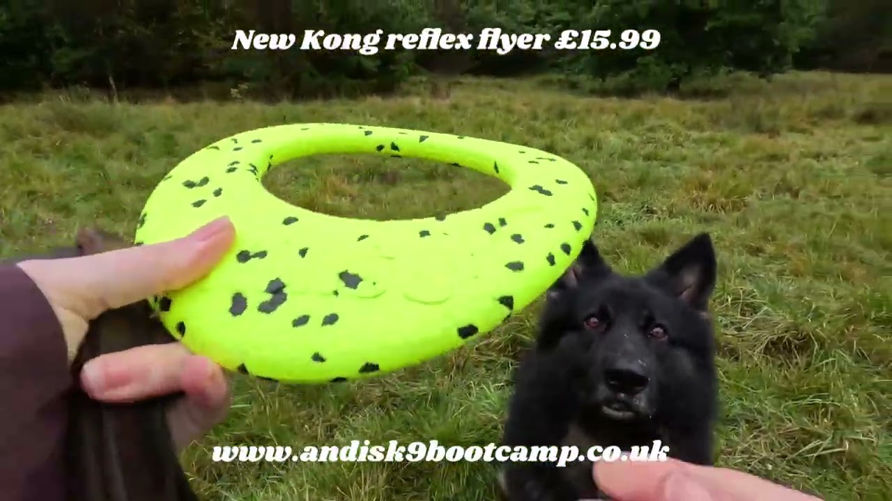 Kong reflex Flyer now available