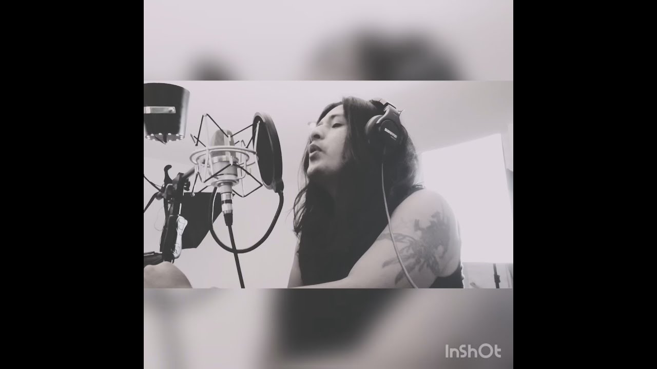 El ciclo sin fin - El rey león (cover - Fidelius)