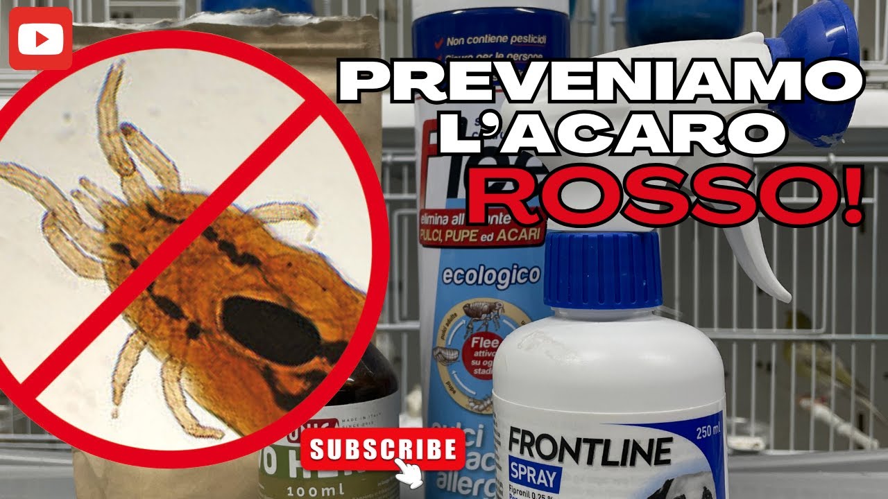 Acari in allevamento: un serio rischio per la riproduzione!