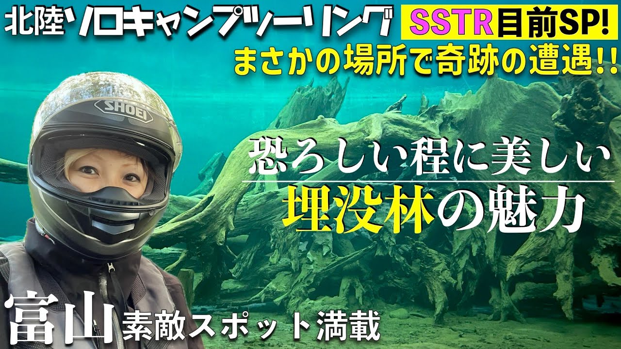 第194話【北陸】SSTR目前！ついでに寄れるスポットご紹介！PART2【富山編】埋没林のあれこれ、富山の素晴らしい建造物の数々、奇跡の遭遇アリ！