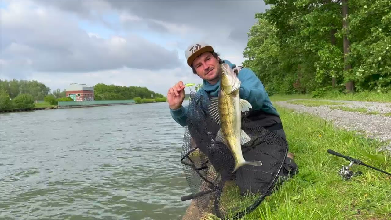 DAIWA: STEEZ SHAD | Adrian unterwegs am Kanal auf Barsch und Zander