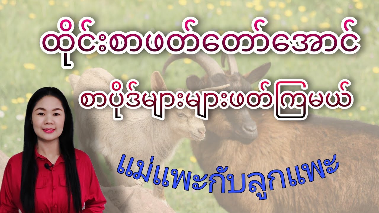 ထိုင်းစာ Ep147 (ထိုင်းစာဖတ်​တော်​အောင်စာပိုဒ်များများဖတ်ကြမယ် แม่แพะกับลูกแพะ)#Learnthaiwithmeme