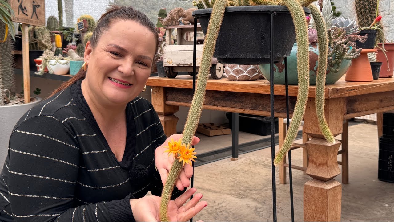 Rabo de macaco com flor amarela — e os pedidos da semana