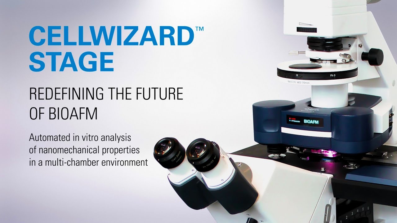 CellWizard Stage: Automated Multi-Chamber In Vitro Imaging and Nanomechanical Analysis