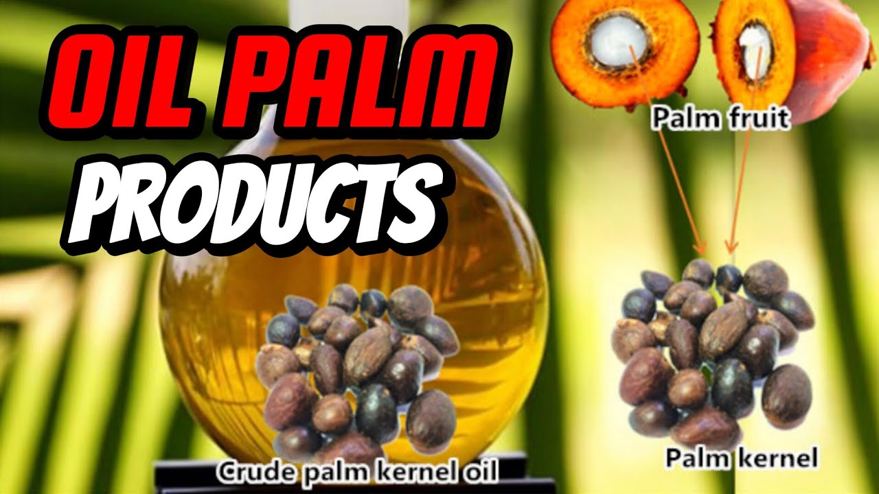30 Derivable Products from the OIL PALM TREE in Nigeria