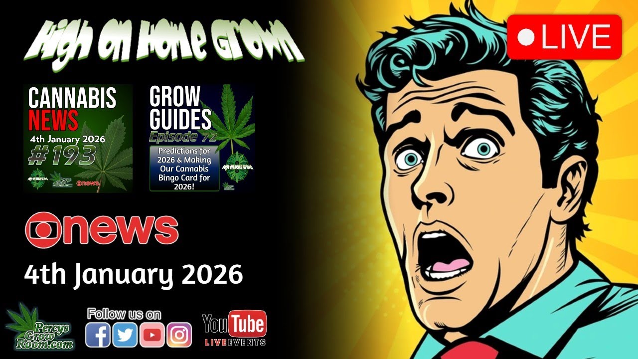 UK Cannabis Legalisation Debate, Drone Farm Thefts & 2026 Predictions Bingo