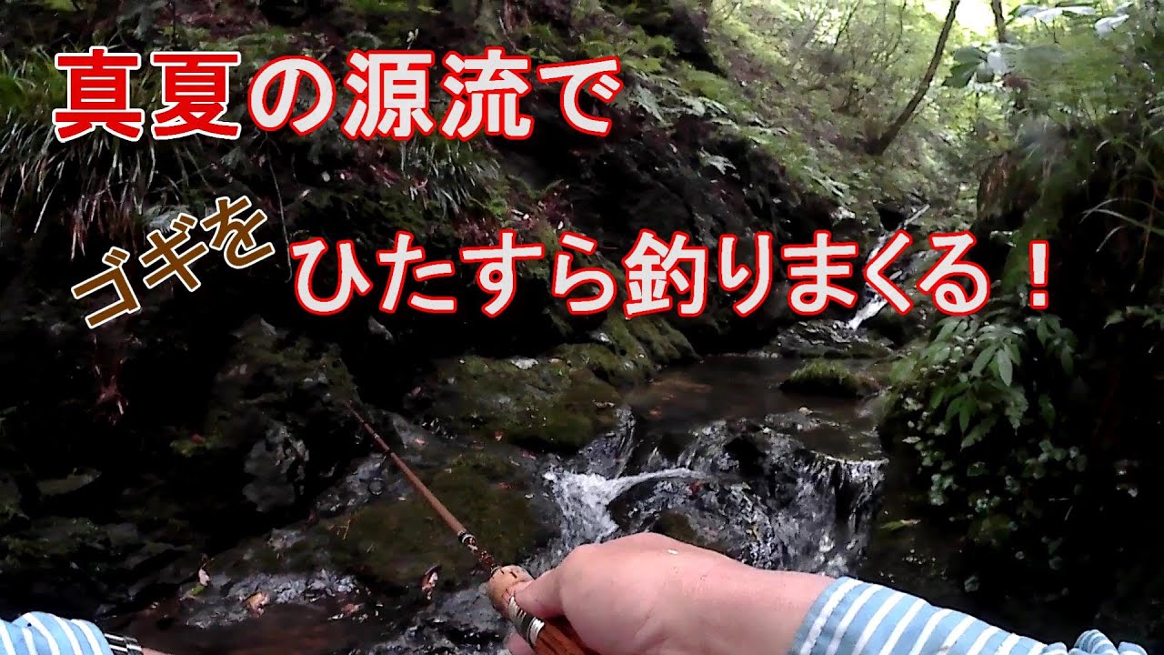 真夏の源流でひたすら釣りまくる！