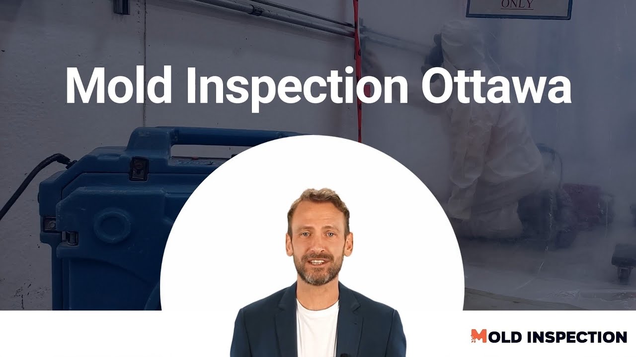 Mold Inspection Ottawa - MoldInspection.ca - 613-701-9893